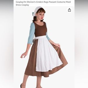 Cinderella Maid Costume